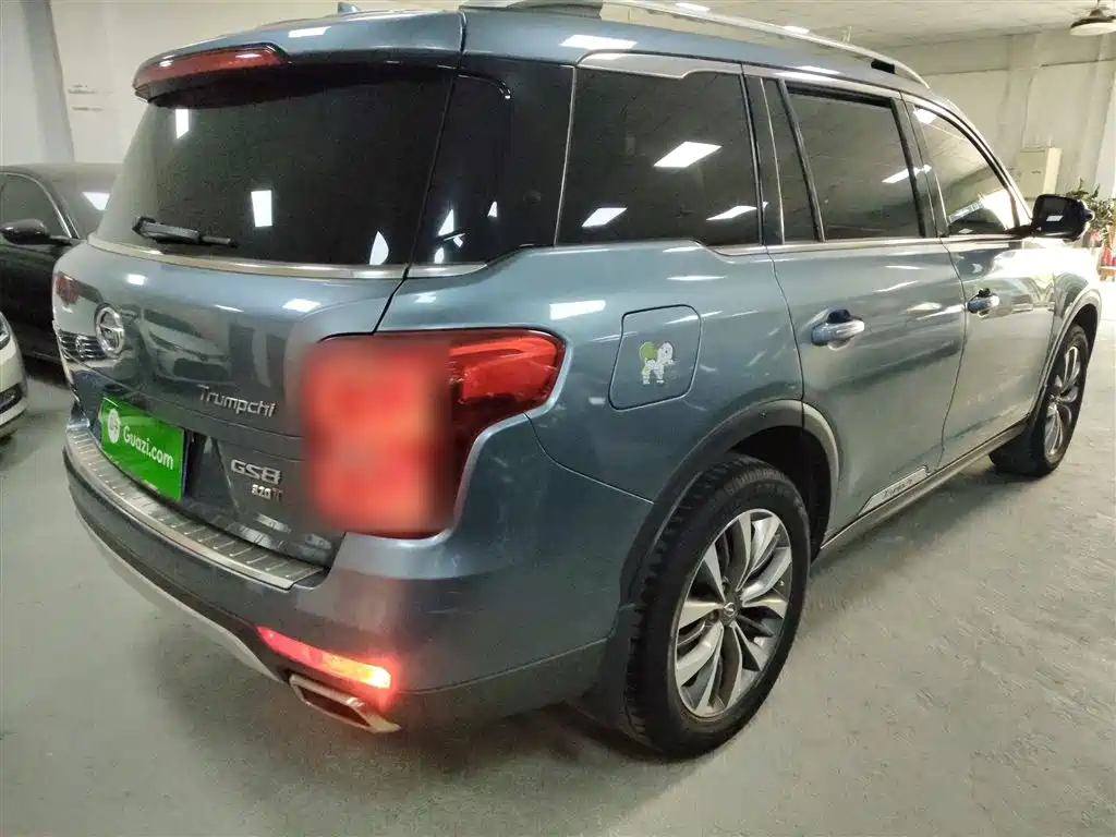 GAC Trumpchi Trumpchi GS8 2017 320T 2WD Luxury Smart Connect (7-seater) фото 5