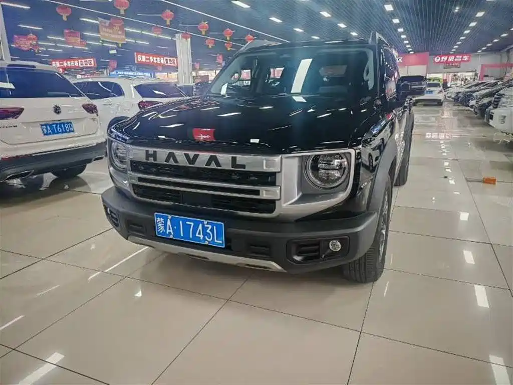 Haval Big Dog 2024 2.0T DCT Chinese Rural Dog Edition фото 4