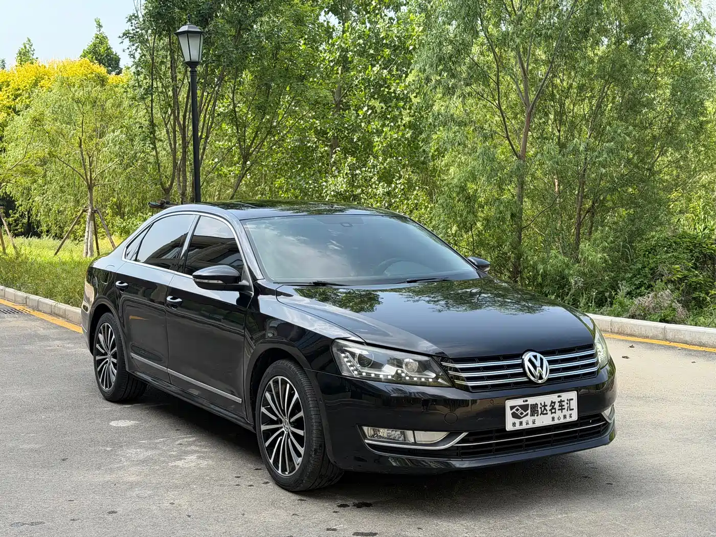 Volkswagen Passat 2014 3.0L V6 DSG Flagship Premium Edition фото 3