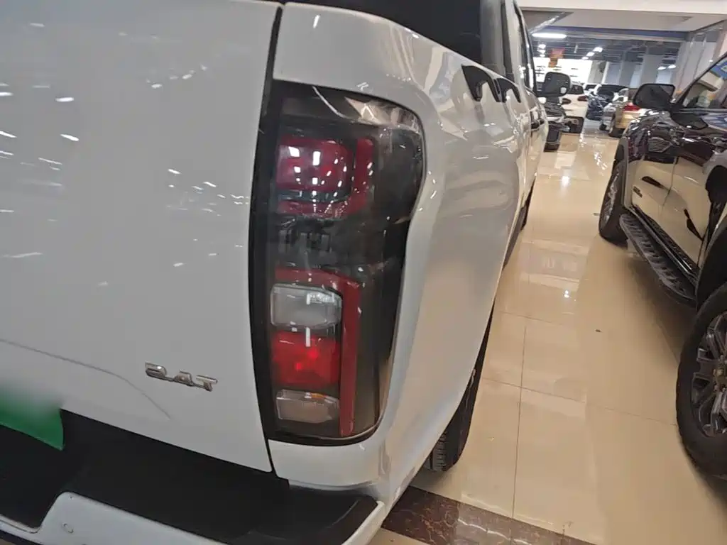 Great Wall Pao 2025 2024 Model 2.4T Commercial Version Automatic Diesel 4WD Elite Type