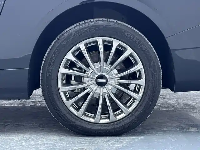 WEY Alpine 2024 2023 AWD Executive Long Wheelbase