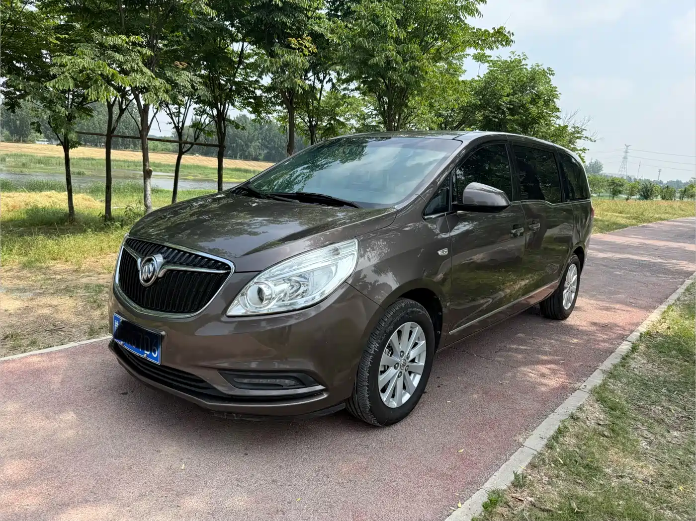 Buick GL8 2017 25S Luxury China V