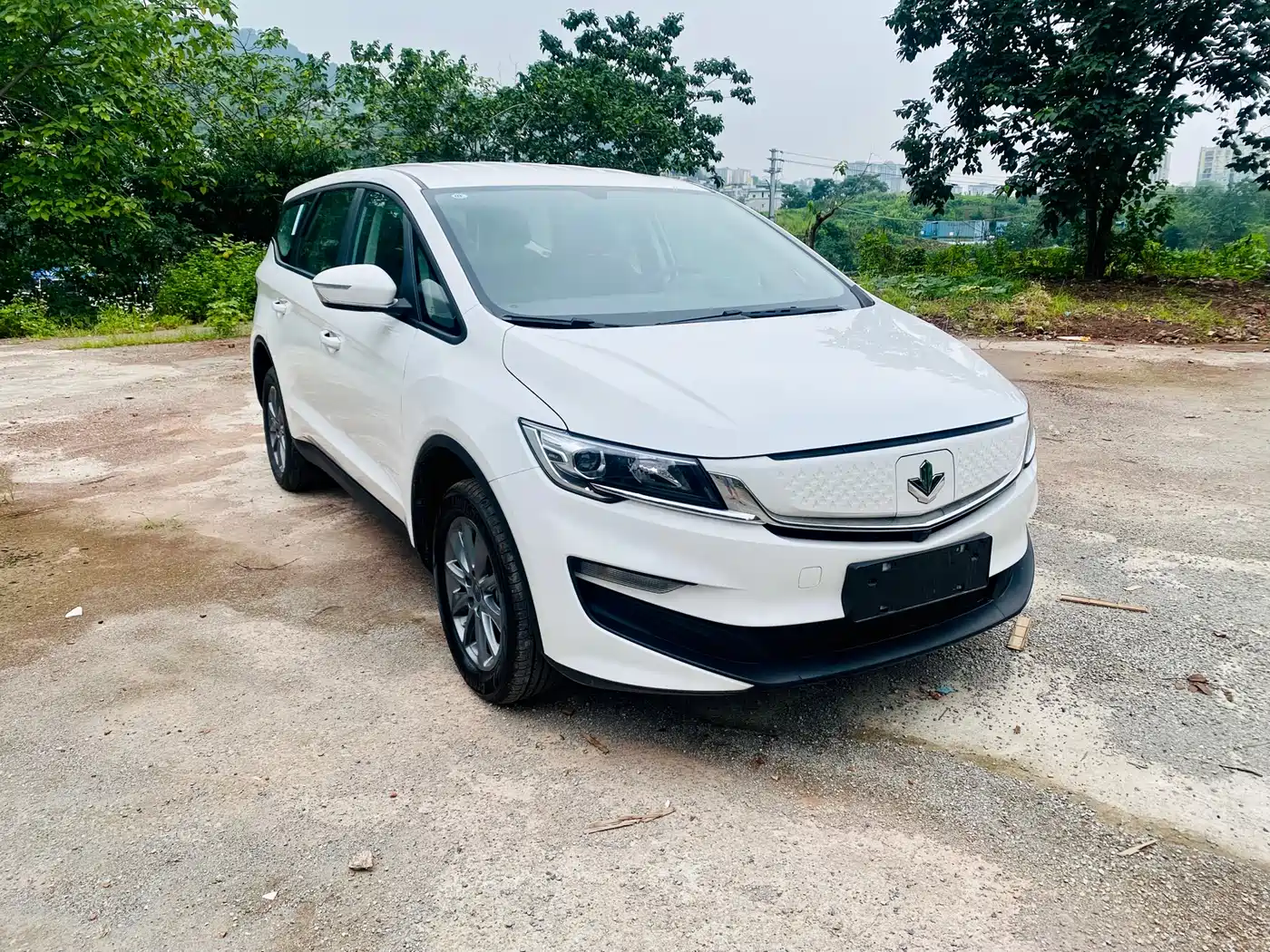 Ruilan Auto Maple 80v 2026 2021 Youxing Edition Ternary Lithium