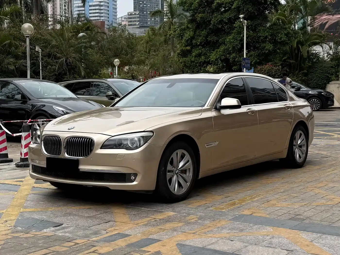 BMW 7 Series 2009 730Li Leading фото 3