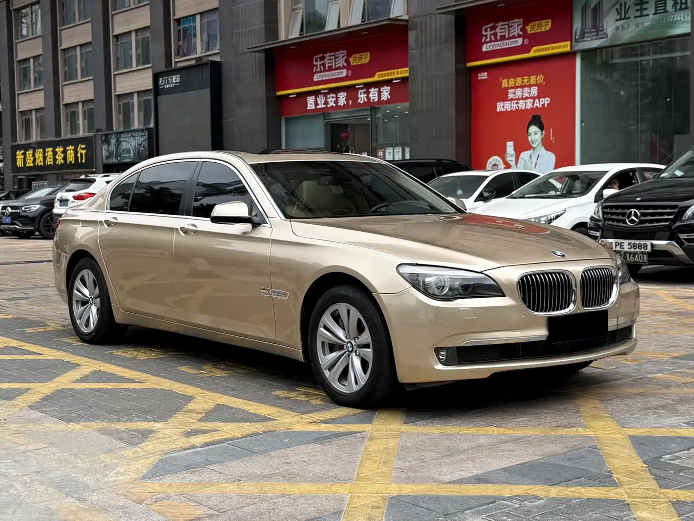 BMW 7 Series 2009 730Li Leading