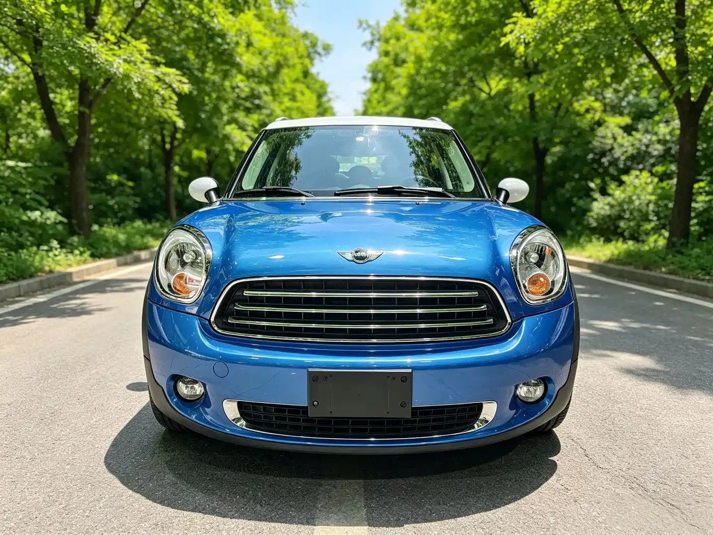 MINI COUNTRYMAN 2012 2011 1.6L COOPER Fun