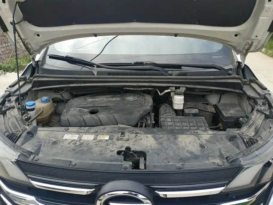 GAC Trumpchi Trumpchi M6 2019 270T DCT Honor Edition (7-seater) (China VI) фото 9