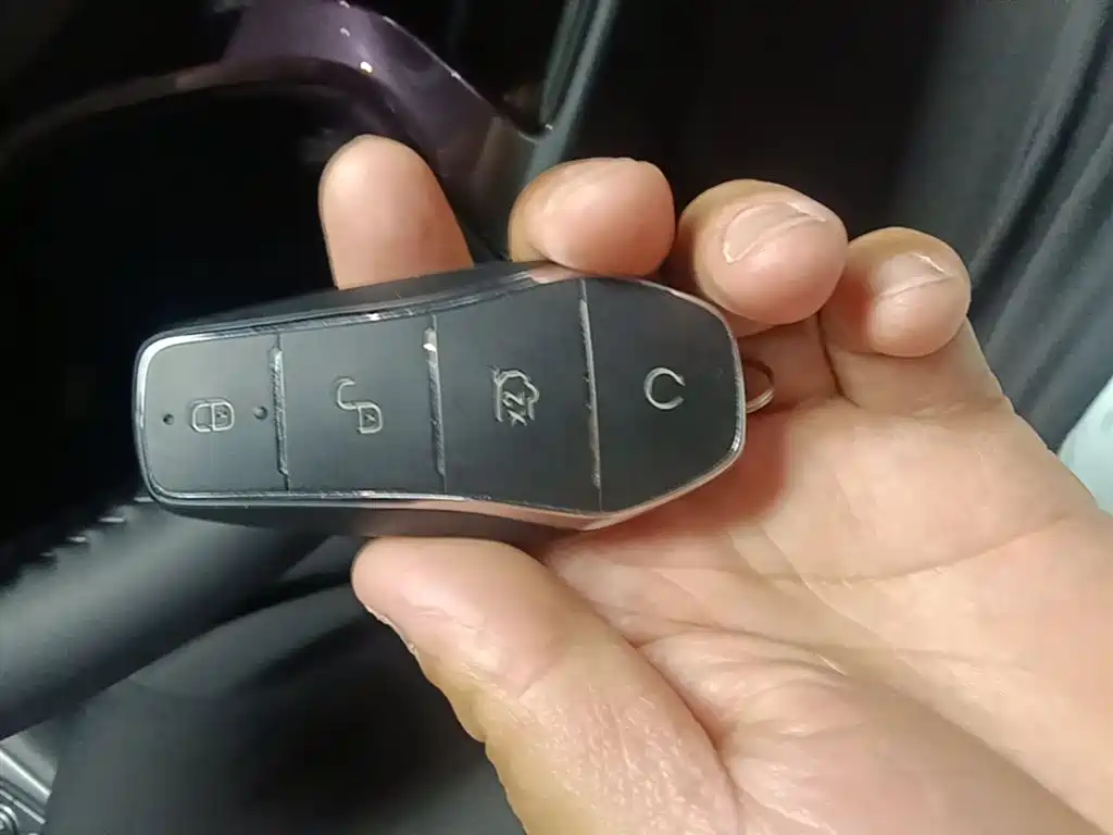 BYD Seal 06 New Energy 2024 DM-i 80KM Prestige фото 15