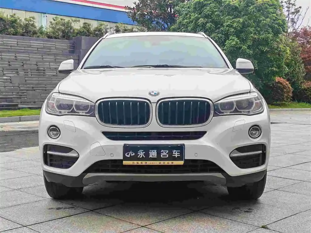 BMW X6 2015 xDrive35i Leading Type фото 2