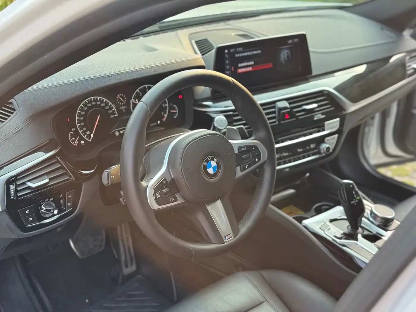 BMW 5 Series 2019 530Li Leading M Sport Package фото 14
