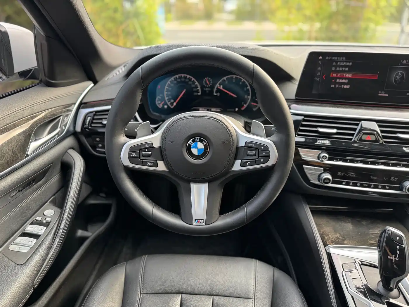 BMW 5 Series 2019 530Li Leading M Sport Package фото 20