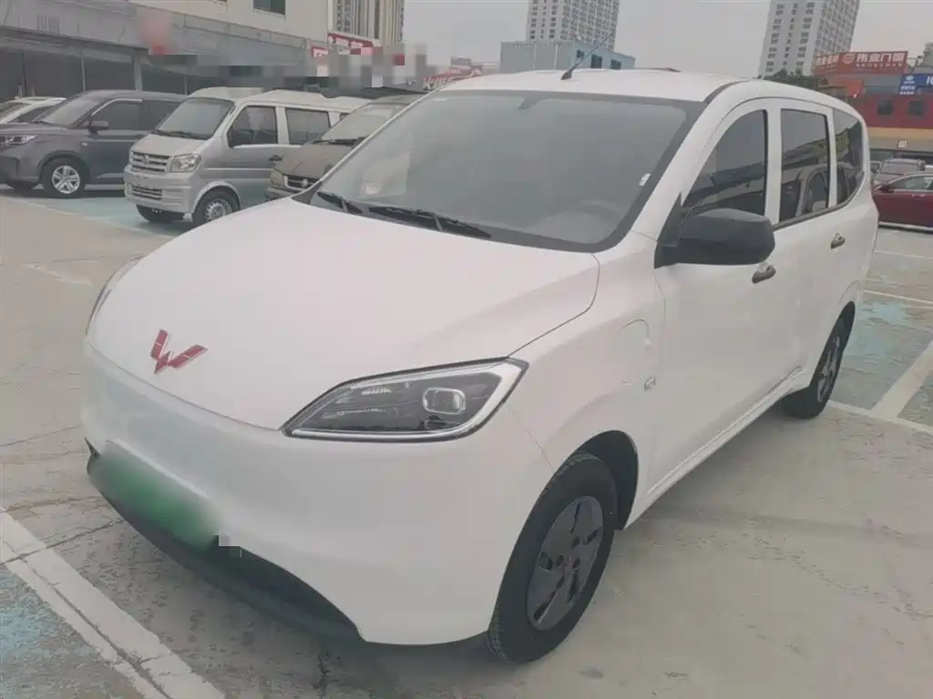 Wuling Motors Wuling Hongguang New Energy 2024 Model Pure Electric 300KM Utility Version