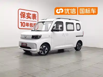Wuling Sunshine