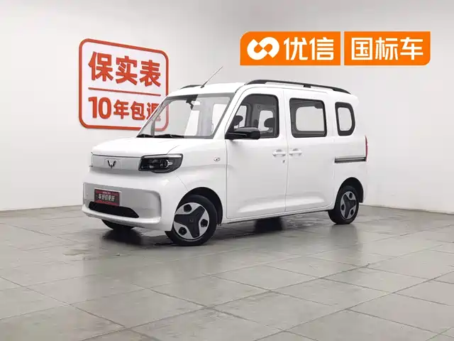 Wuling Motors Wuling Zhiguang NEV 2025 Model 305km Base Version — фото 1