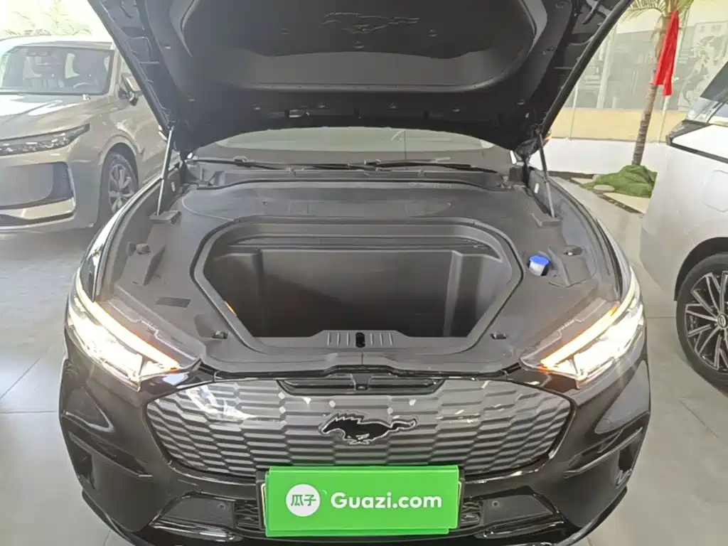 Ford Mustang Mach-E 2023 2021 Boundless RWD Luxury (Long Range)