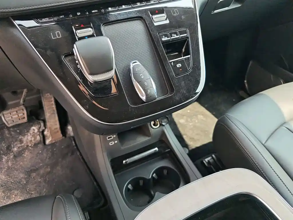 Hongqi HQ9 PHEV 2024 Model 2.0T AWD Business Edition фото 14