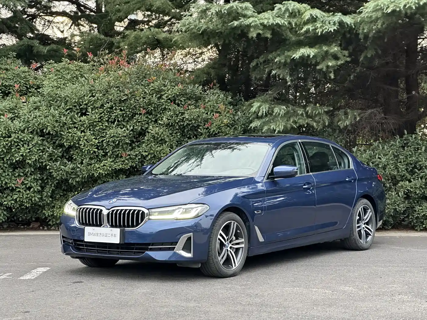 BMW 5 Series New Energy 2022 Model Second Facelift 535Le Luxury Package
