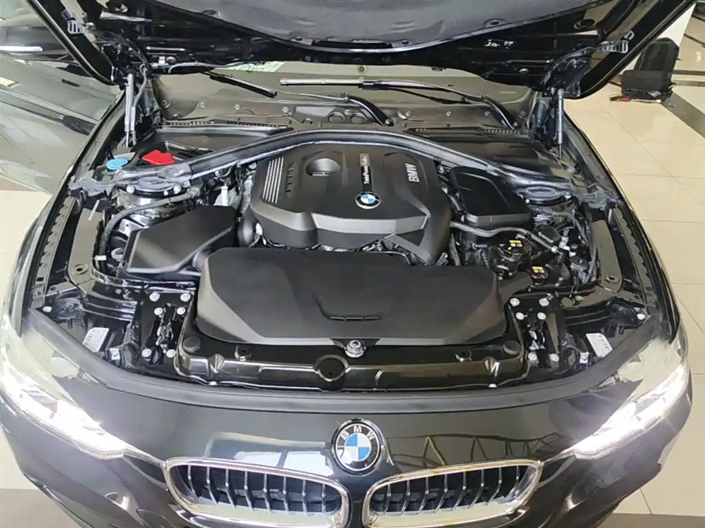 BMW 3 Series 2017 320Li M Sport фото 20