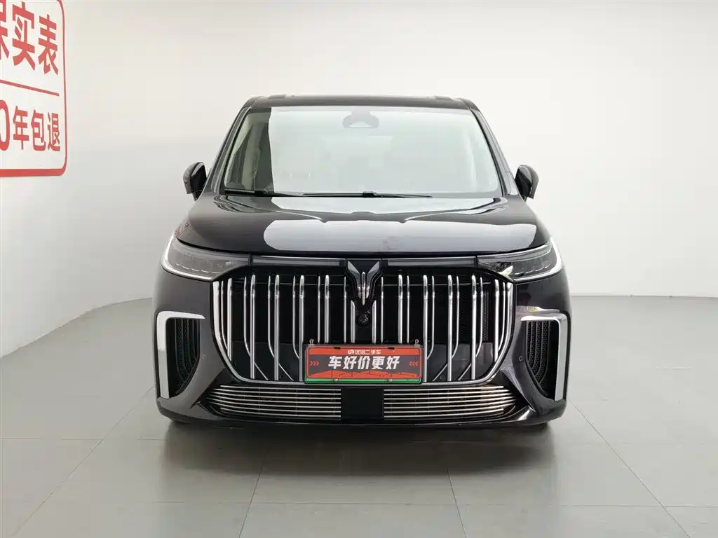 Voyah Auto Voyah Dreamer 2024 PHEV Extended Range Premium Edition фото 3