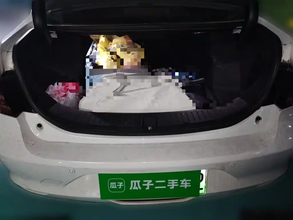 BYD Qin New Energy 2018 Qin EV450 Smart Connected Premium Edition фото 10