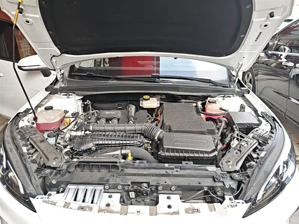 BYD Hai Bao 05 DM-i 2025 DM-i Smart Drive Edition 55KM Luxury фото 20
