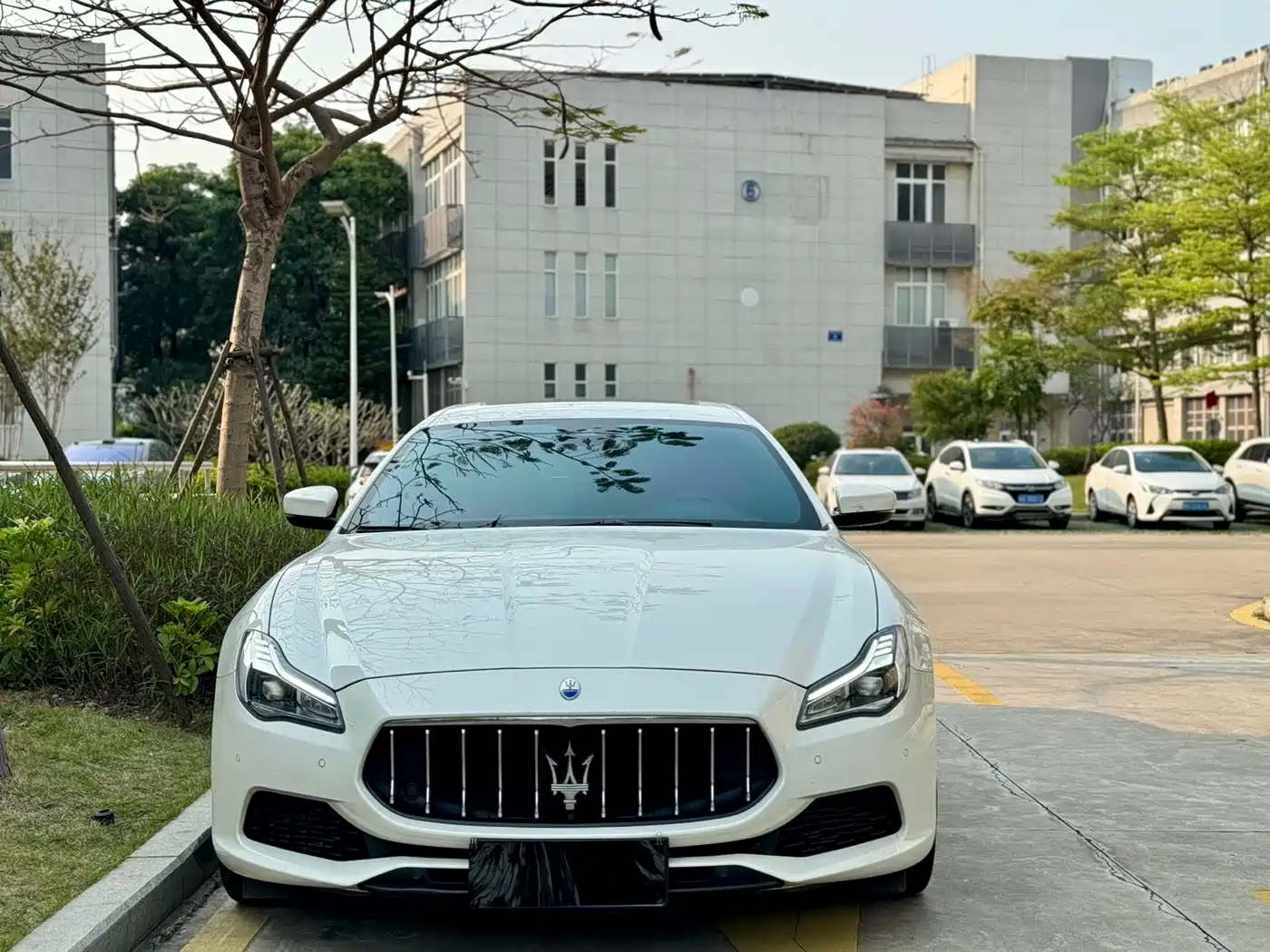 MASERATI PRESIDENT