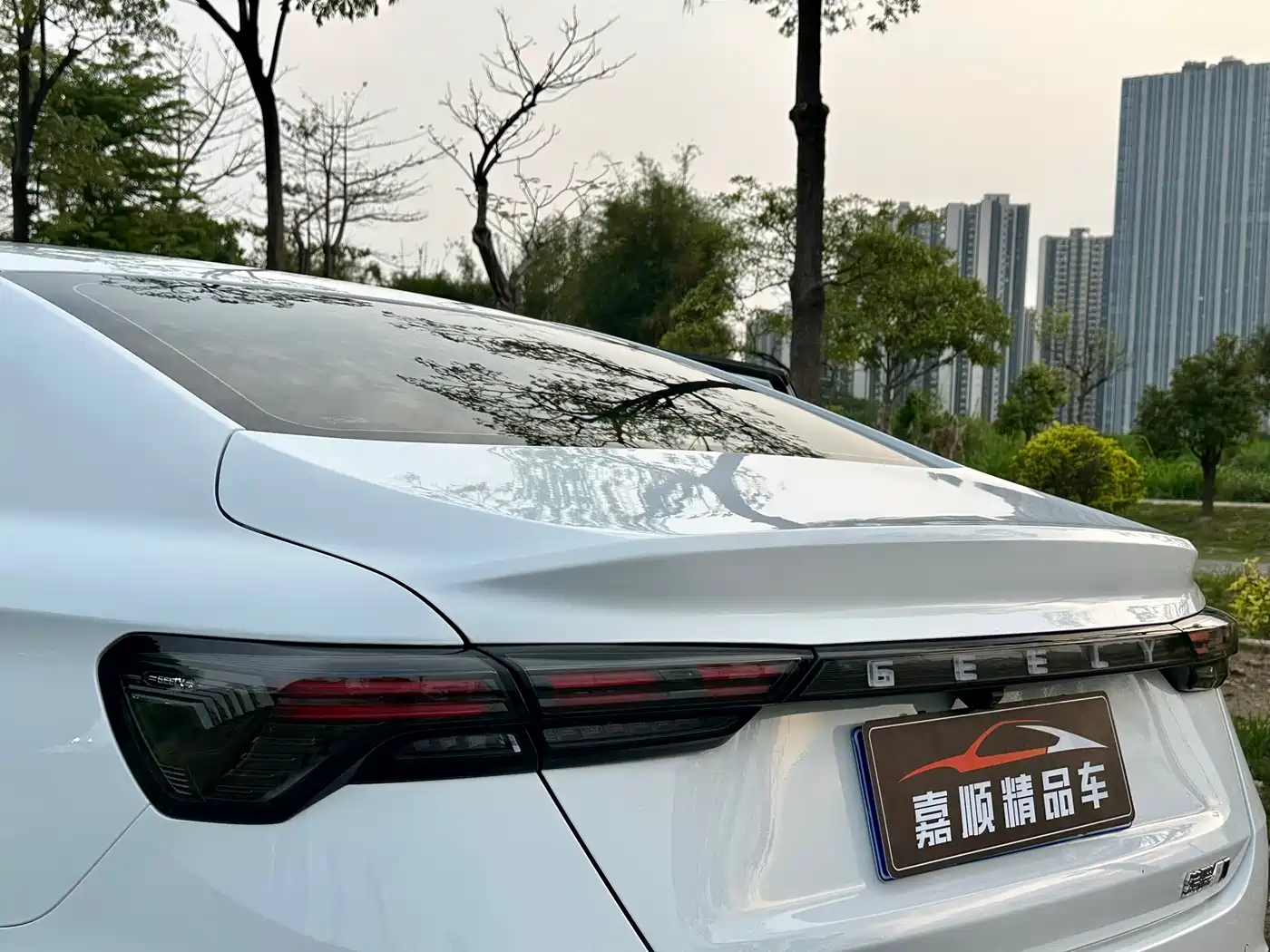 GEELY AUTOMOBILE BINRUI