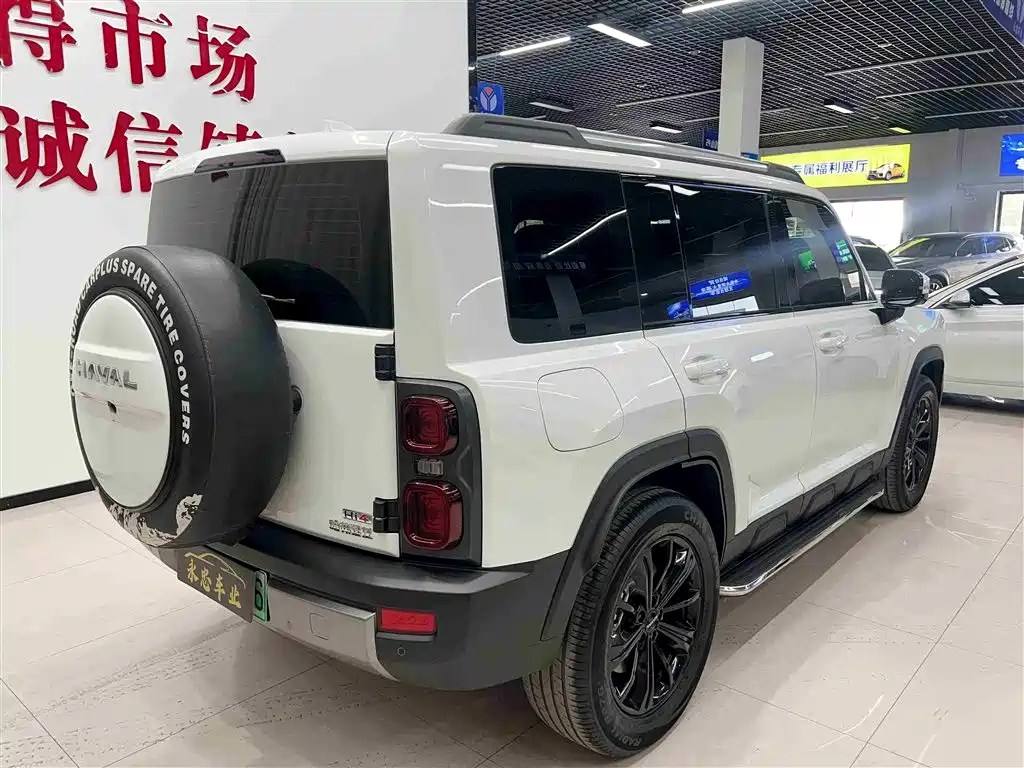 Haval Meng Long NEV 2024 Hi4 145 Pro фото 6