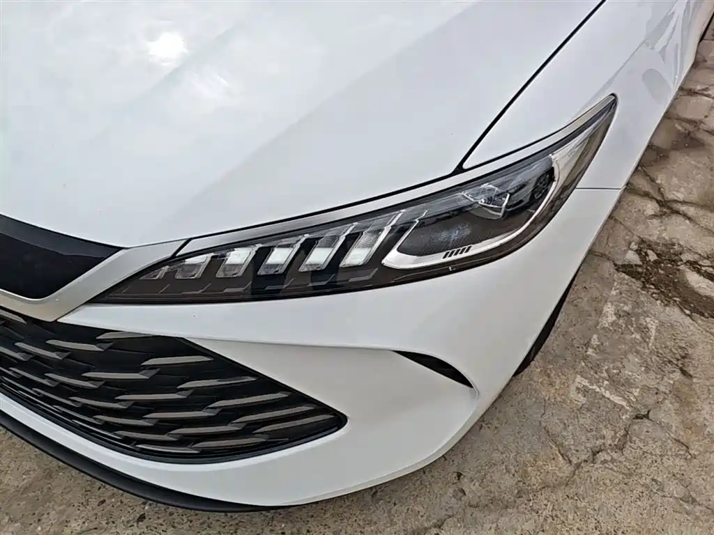 BYD Qin PLUS 2025 DM-i Smart Drive 55KM Leader фото 24