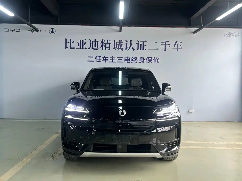 Denza N9 2025 2025 Flagship Model