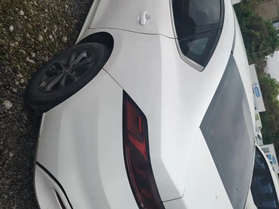 BYD Qin PLUS 2021 EV 400KM Premium Edition фото 8