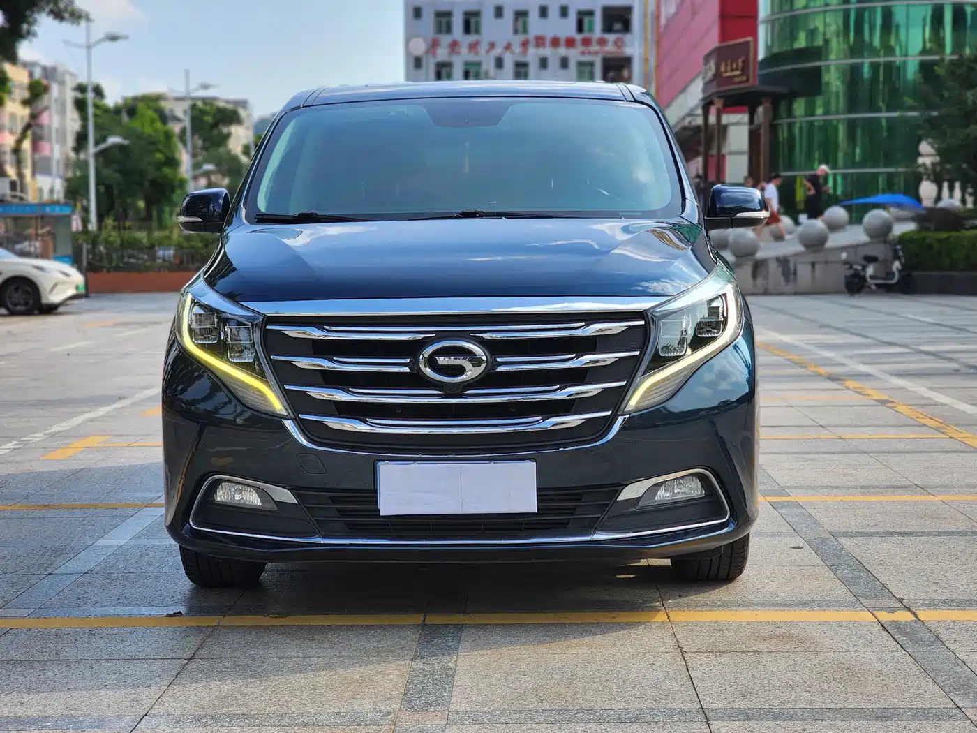 GAC Trumpchi Trumpchi M8 2018 320T Premium Edition фото 2