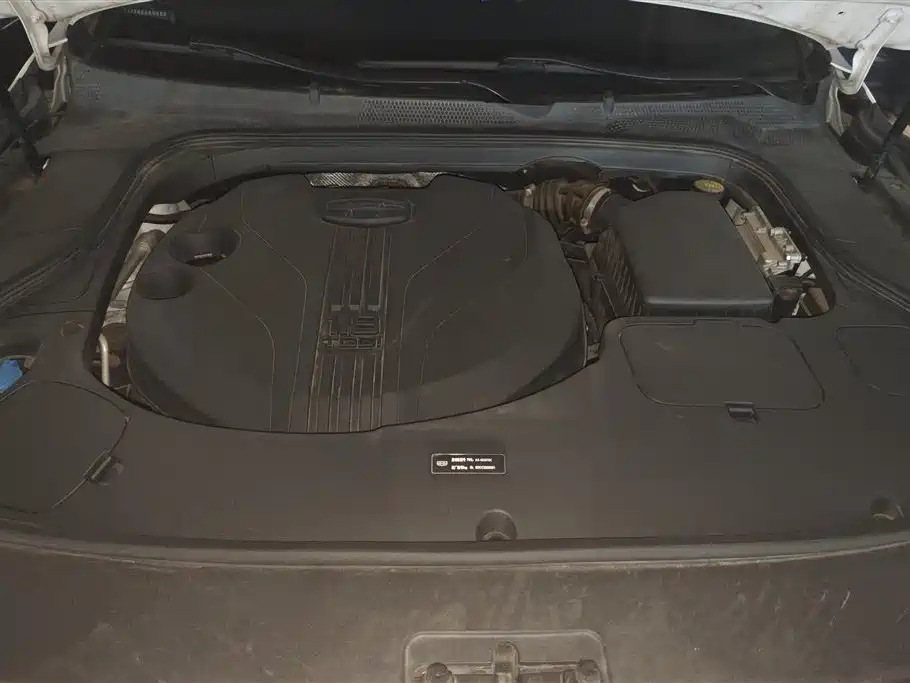 GEELY AUTOMOBILE BORUI