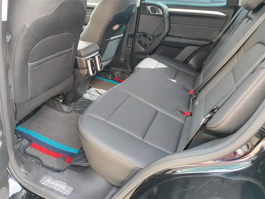 Haval Big Dog 2022 1.5T DCT FWD Border Collie Edition фото 11