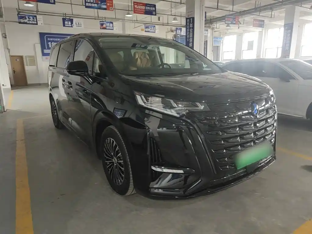 Denza D9 2024 DM-i 980 AWD Prestige фото 4
