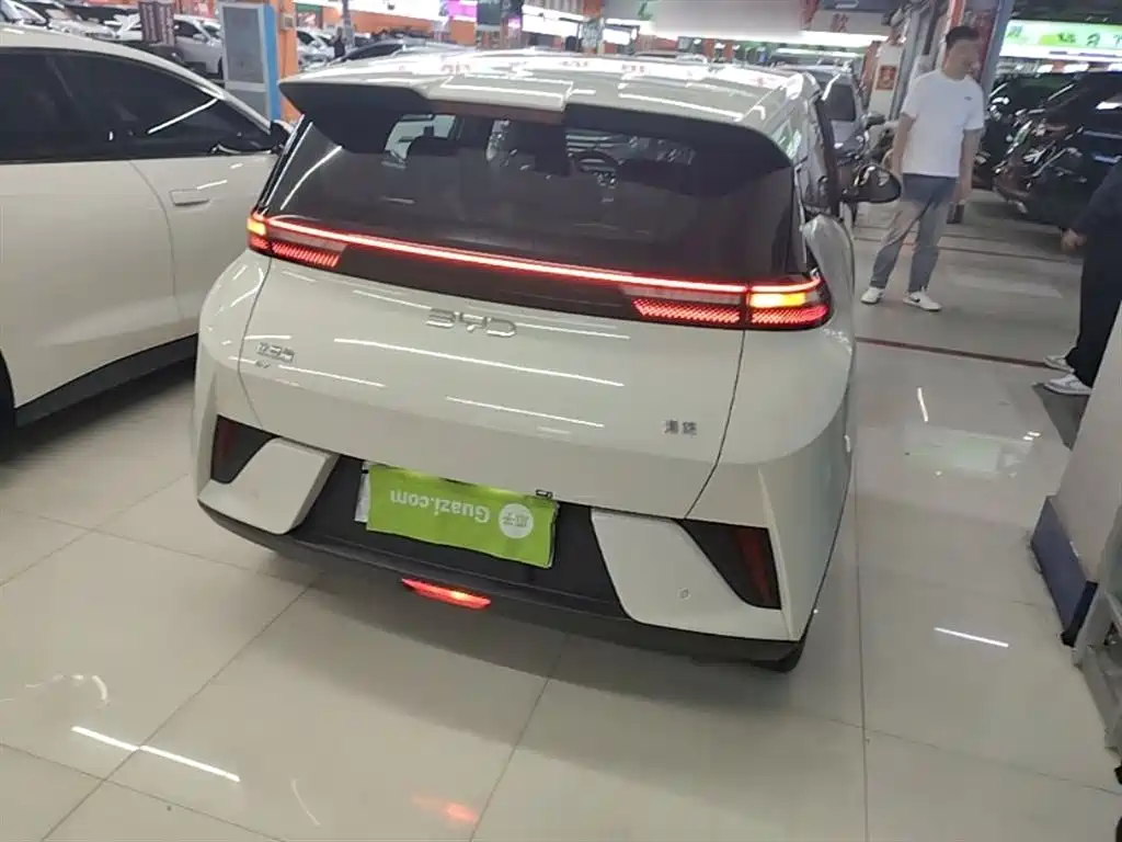 BYD Seagull 2025 Smart Drive Edition 305km Vitality Version фото 7