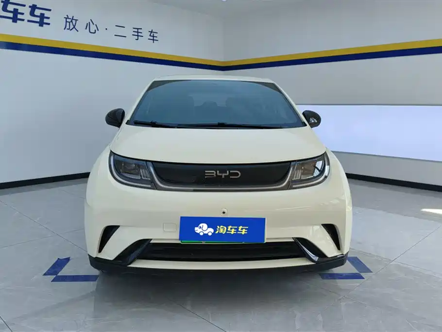 BYD Dolphin 2025 420km Freedom Edition фото 2