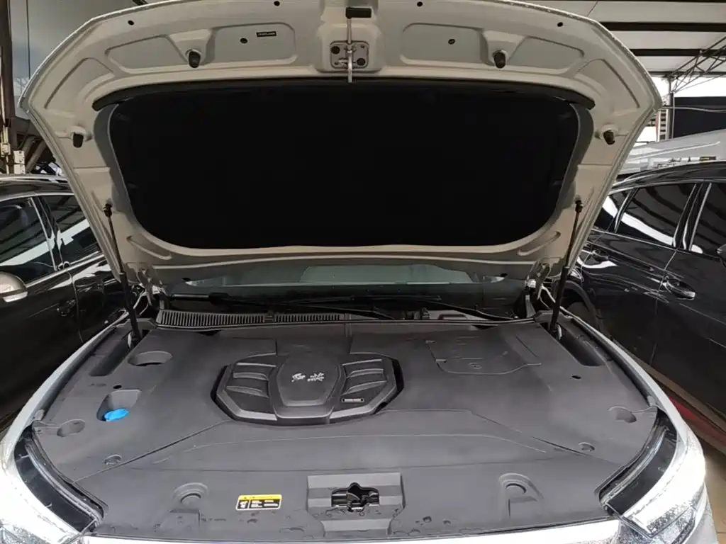 Hongqi HS5 2019 2.0T Smart Connect Enjoy Edition фото 20
