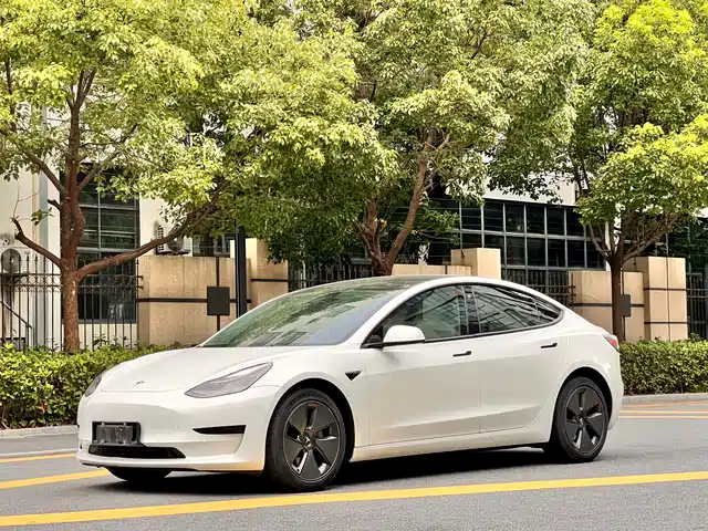 Tesla Model 3 2021