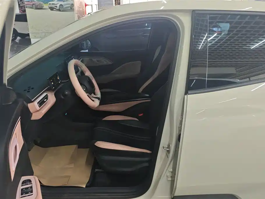 BYD Seagull 2025 305km Vitality фото 9