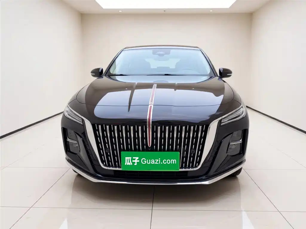 Hongqi H5 2024 2.0T Automatic Smart Connect Flag Smooth Edition фото 24