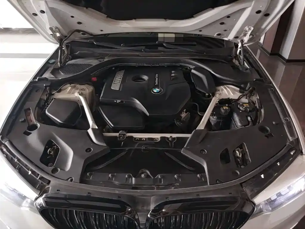 BMW 5 Series 2020 525Li Luxury Package фото 20