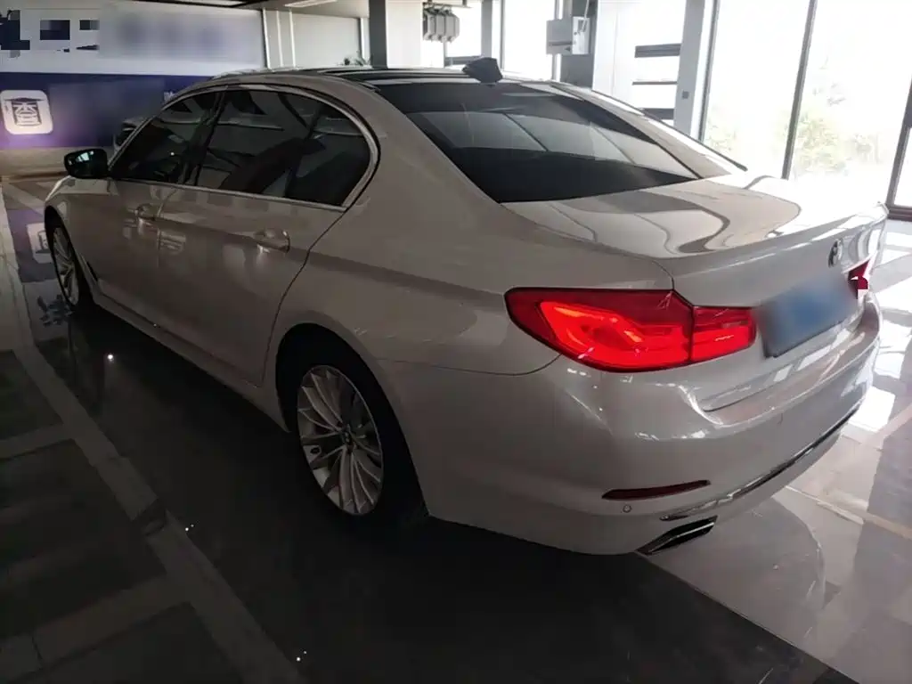 BMW 5 Series 2020 525Li Luxury Package фото 5