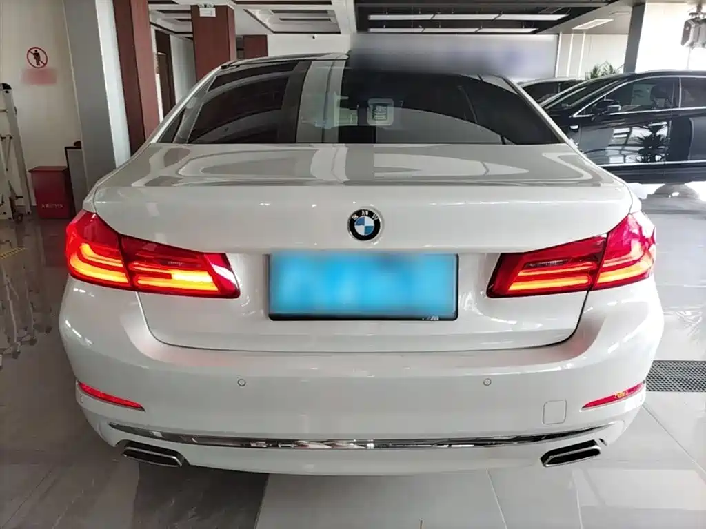 BMW 5 Series 2020 525Li Luxury Package фото 6