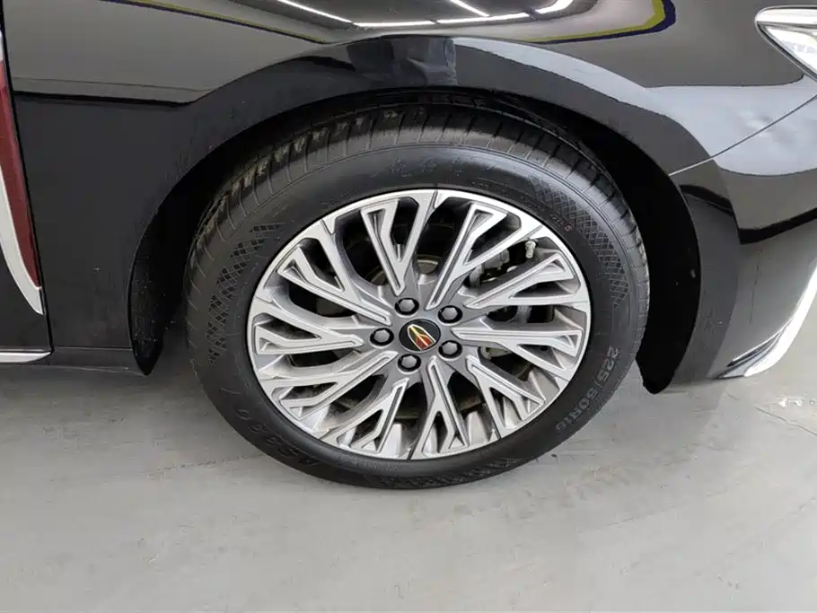 Hongqi H5 2023 2.0T Auto Smart Connect Flag Comfort фото 6