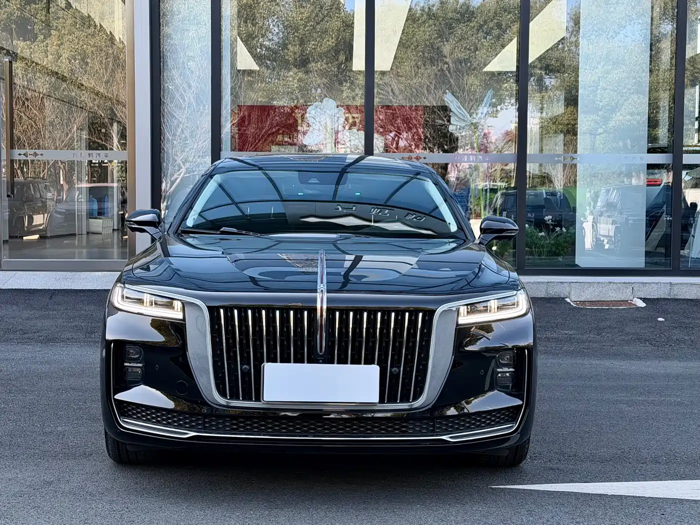 Hongqi H9 2020 2.0T Smart Connection Qi Xiang Edition фото 3