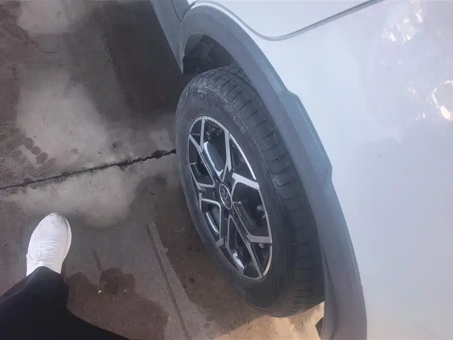 BYD Yuan Pro 2023 401KM Luxury фото 6