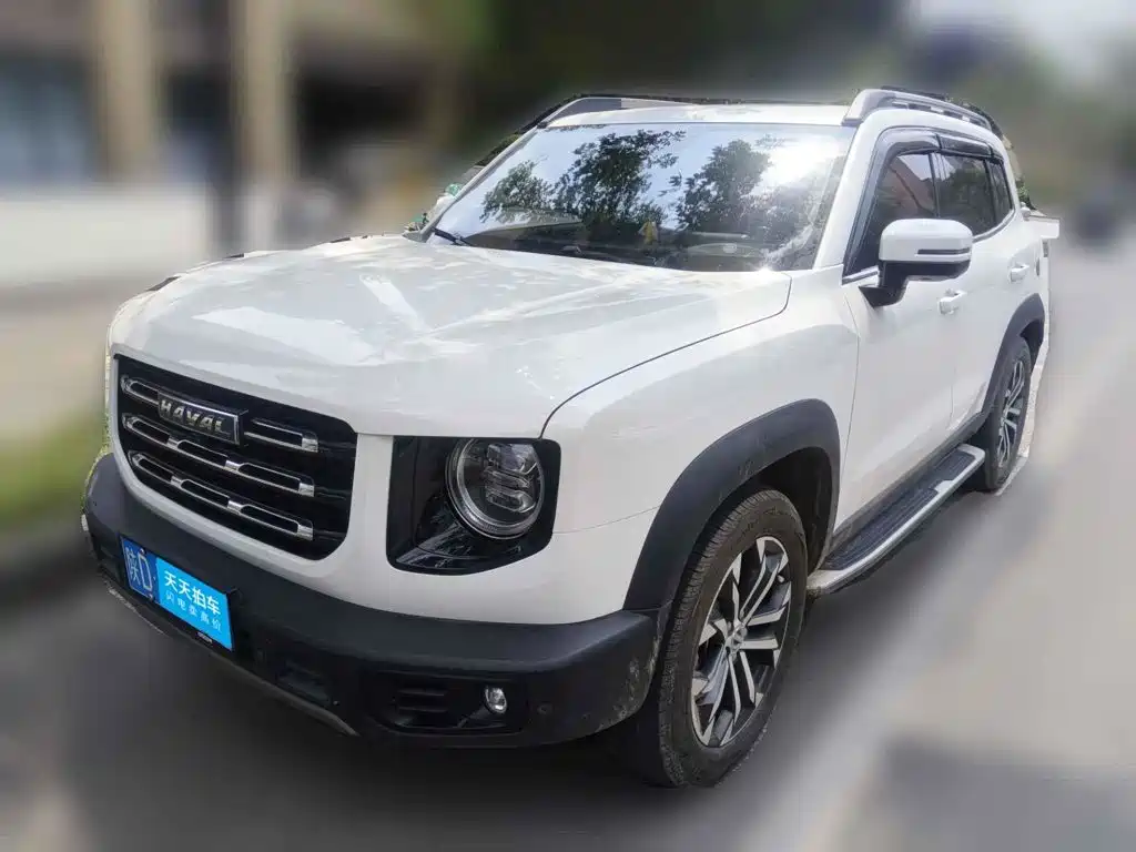 Haval Big Dog
