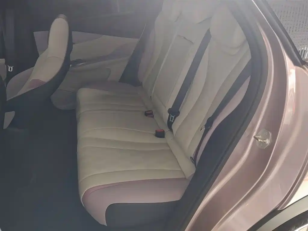 BYD Dolphin 2025 420km Fashion Edition фото 13