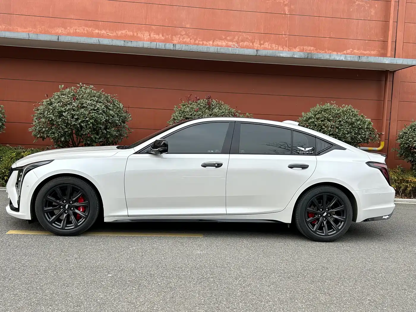 Cadillac CT5 2024 28T Luxury Model Pro фото 10